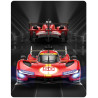 Voiture RC Piste Ferrari 499P n°50 - Vainqueur 24H du Mans 2023 & 2024