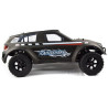 Rattlesnake SUV 4X4 RC Thermique 1/10 RTR 100KM/H